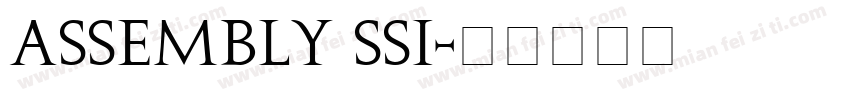 Assembly SSi字体转换